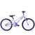Radius Neo 16" Bike - Element Tri & Bicycle Works