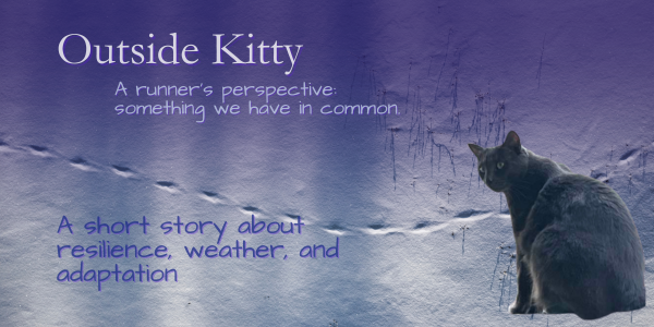 Outside Kitty