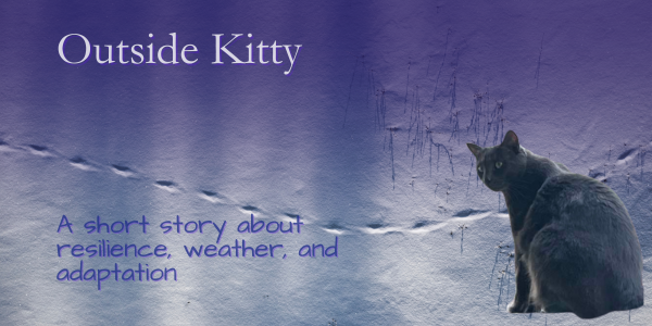 Outside Kitty