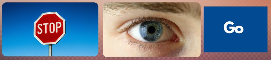 Ride Safe:  Best Practices For Cycling Safety  Tip #2:  Look Them In The  Eye! - Element Tri & Bicycle Works