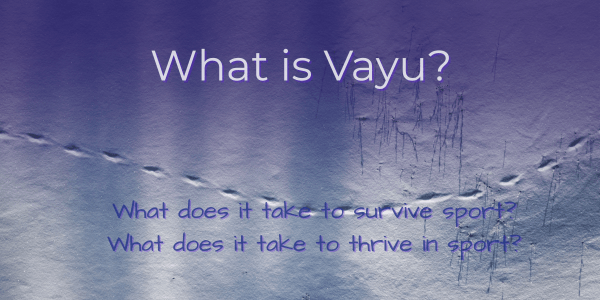What Is Vayu and What Does It Have To Do With Cat Footprints? - Element Tri & Bicycle Works