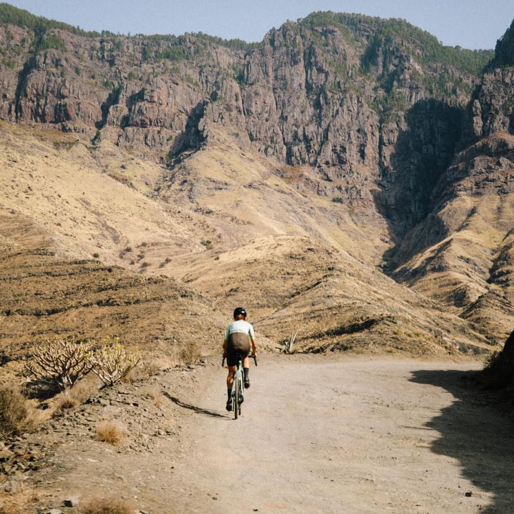 Orbea Terra — Carbon Gravel Performer (Size L) - Element Tri & Bicycle Works