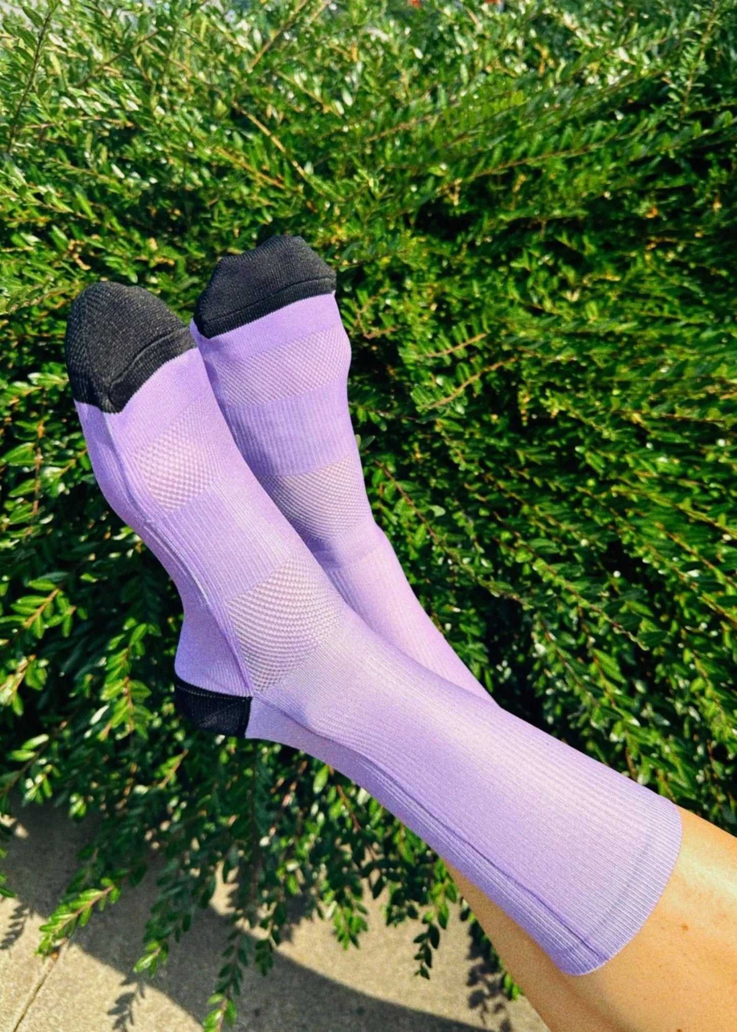 Performance Cycling Crew Socks - Lavendar - Element Tri & Bicycle Works