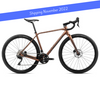 2022 Orbea Terra H301X